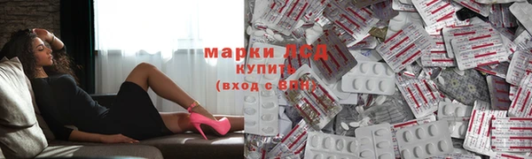 PSILOCYBIN Дмитриев