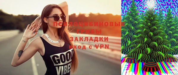 PSILOCYBIN Дмитриев
