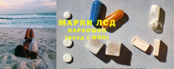 молекула духа Дмитров