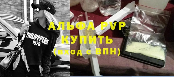 PSILOCYBIN Инта