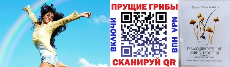 цена наркотик  Нелидово  Галлюциногенные грибы ЛСД 